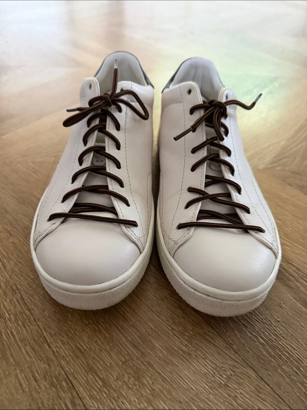Coach low top sneakers